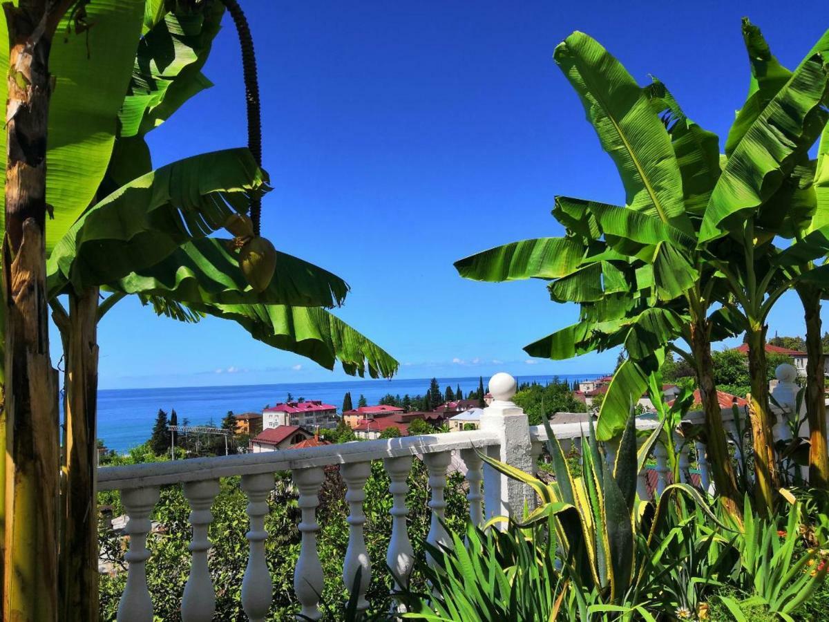 Guest House Amra New Athos Esterno foto